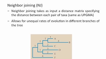 Phylogenetics - Distance Methods (UPGMA, NJ)