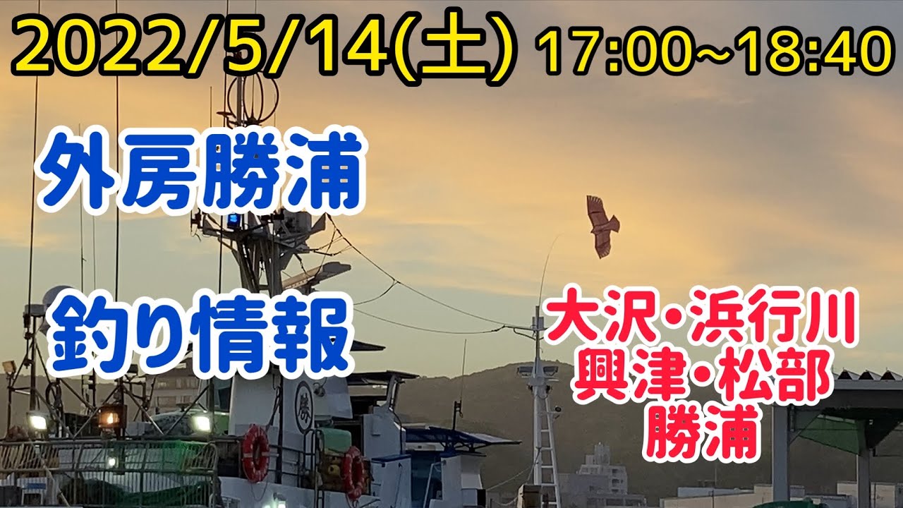 外房勝浦エリア釣り情報22 5 14 土 17 00 18 40 Youtube