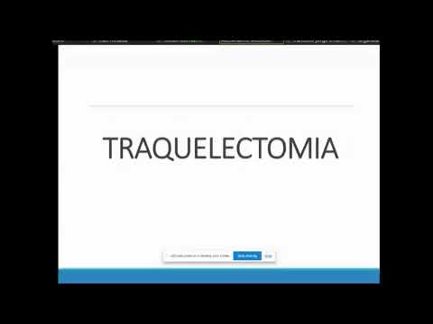 Video: ¿De dónde viene la palabra traquelectomía?