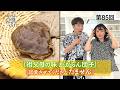 病気に「かからん団子」とは?屋久島の祖父母の味を大調査!/名古屋のローカルグルメ「たません」(2026年7月17日公開)【おいしい記憶 きかせてください】 #藤井隆 #吉竹史 #おいしい記憶