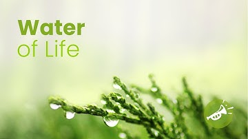 Water of Life | Instrumental Hymn by Juan Palomino