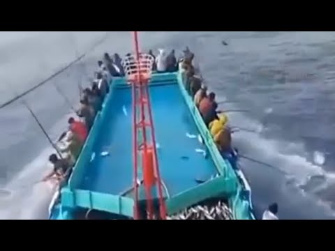 Thumbnail for The Most Advance  Net Fishing On Deep Sea