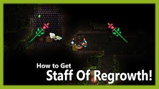 Terraria - How to get Staff of Regrowth! How to find Jungle Shrines!
