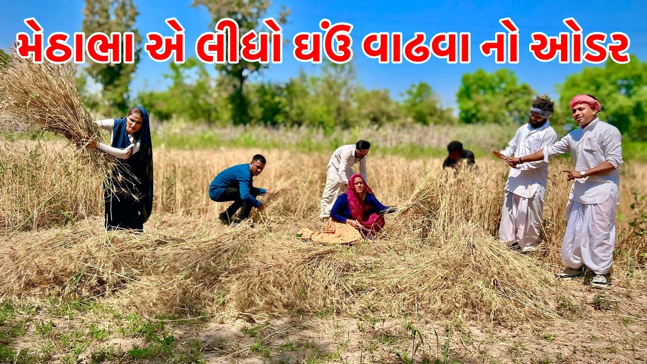મેઠાભા એ ઘઉં વાઢવા નો ઓડર લઈ ને ફસાયા // Gujarati Comedy // ગુજરાતી કોમેડી Harsiddhi Tigers Groups