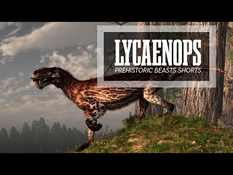 Prehistoric Beasts - Lycaenops - South African Gorgonopsid