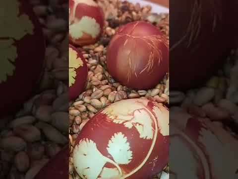 Video: Yumurtaları naxışla soğan qabıqlarına boyayırıq