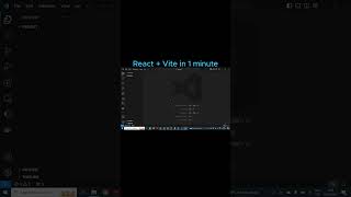 Create a react app with vite in 1 minute