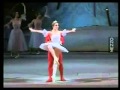 Nutcracker Grand pas de deux  Bolshoi Ballet  Erek Muhamedov