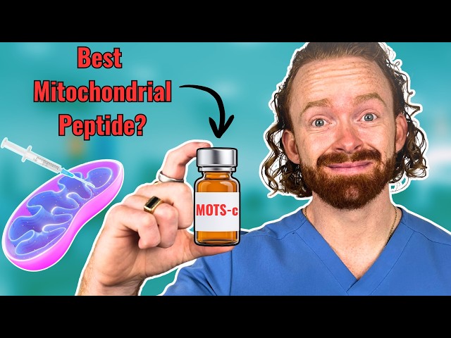is l carnitine and acetyl l carnitine the same Acetyl L-Carnitine vs L-Carnitine: 4 Key Differences  Momentous