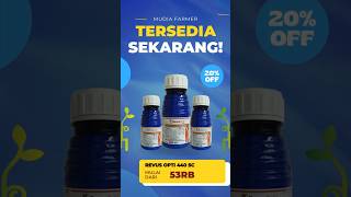 FUNGISIDA REVUS OPTI 440 SC #fungisidaorganik #shorts #shortvideo #viralvideo #fyp