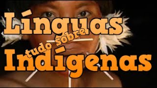 As Línguas Indígenas do Brasil