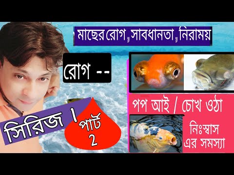 ভিডিও: কেন মাছের চোখ ফুলে উঠে উপরে থেকে মেঘলা হয়ে উঠল?