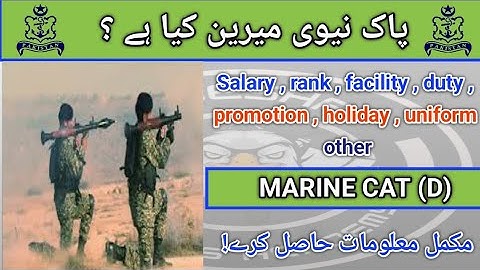 pak navy marine information|pak navy detail| pak navy a 2024 list marine|@Ayeshaforcesacademy