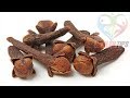 शरीर में किसी भी प्रकार के दर्द व अकड़न का घरेलु इलाज │Body Pain Relief │ Indian Health