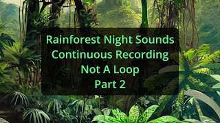 * Rainforest Night Sounds * Continuous Recording * Not A Loop * Part 2 * Tinnitus Masking Sounds *