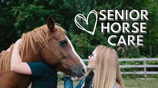 Senior Horse Care: 10 Common Mistakes Horse Owners Make After Age 15