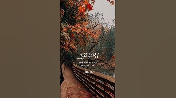 سورة العصر #youtube #اكسبلور #دعاء #سورة #القران #قرآن #duet #ايات #ذي_الحجه #تيك_توك