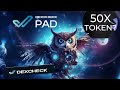 Amazing token $DCK #DexCheck 50X potential in the Bullrun ? Watch and find out !