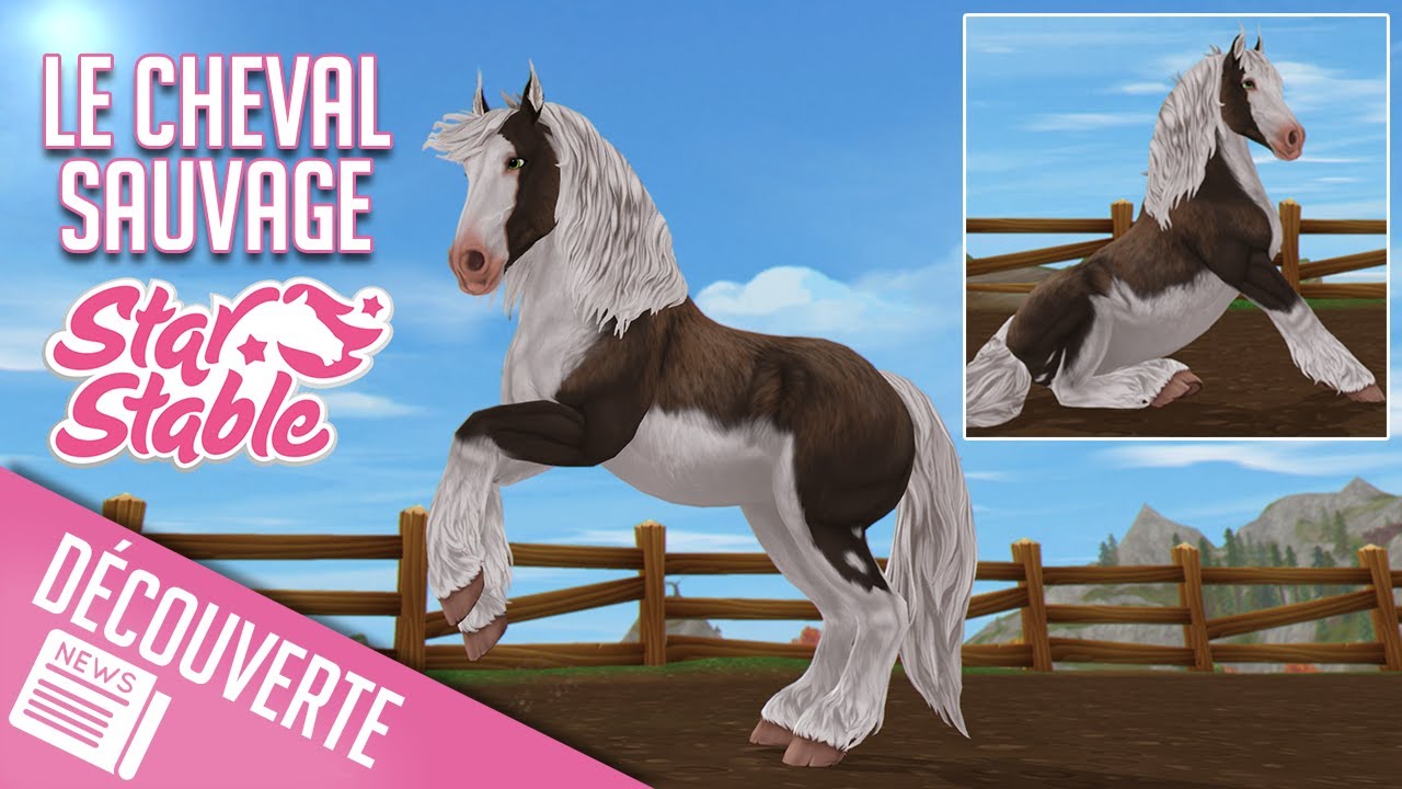 Achat du Cheval Sauvage Jorvikois | Star Stable - SSO - YouTube