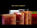 Relaxing Ambient | Background Music | SoundFX | No Copyright