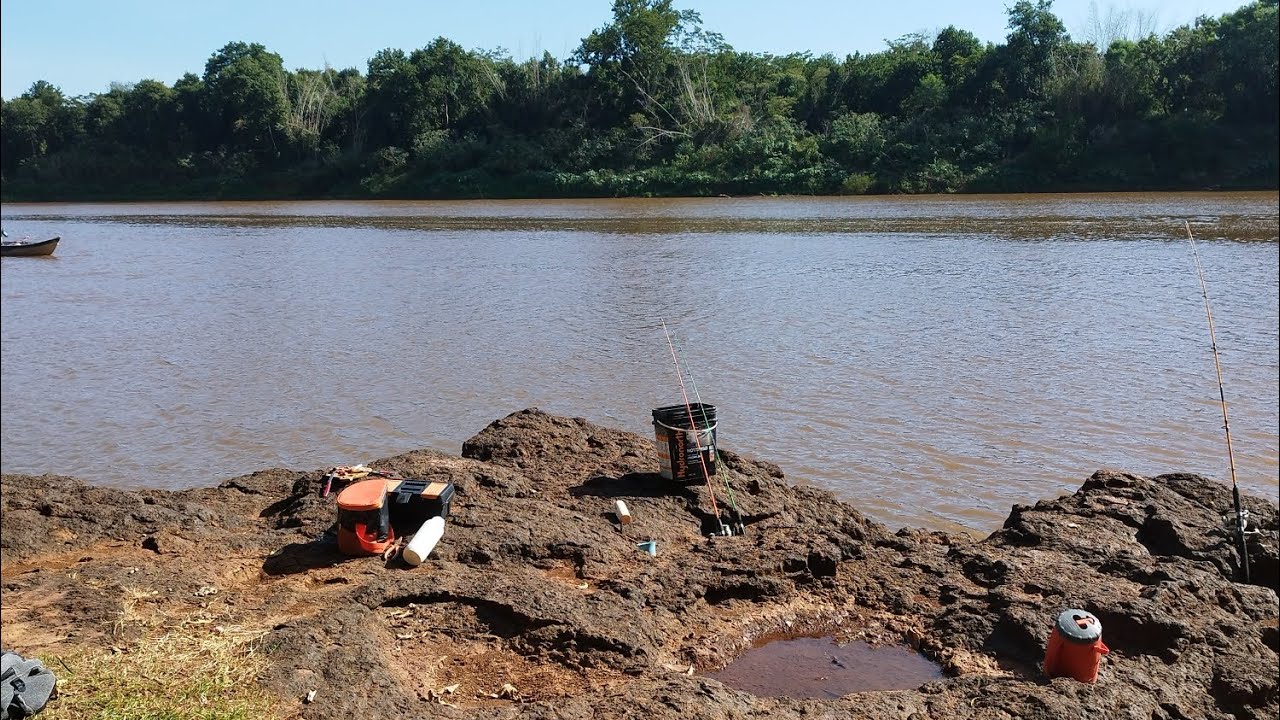 PIAU AÇU GIGANTE DO RIO IVAI Pescaria no rio Ivaí, saiu o Piau Açu, piau trez pintas e piapara 🎣🚣