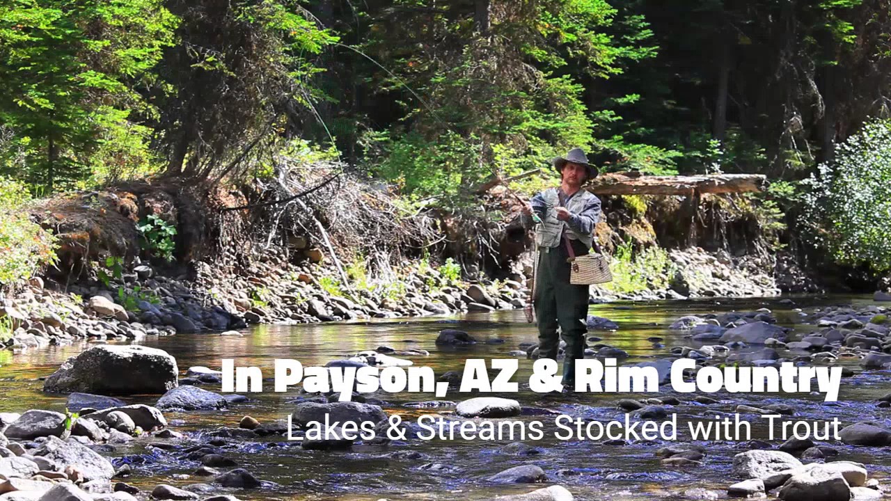 Stream Fishing In Payson & Rim Country YouTube