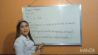 Ejercicio de un programa en Turbo Pascal