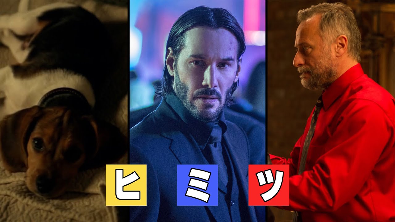 「カラー」からひも解く映画『ジョン・ウィック』