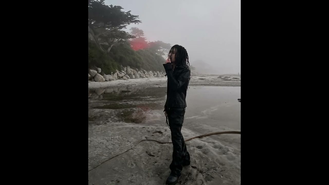 [free] plaqueboymax sample type beat 