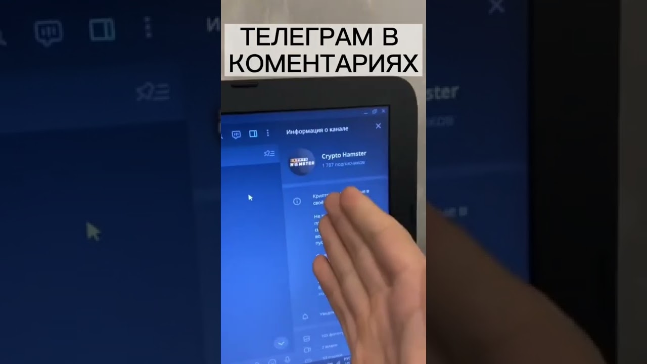 nft КАК заработать 