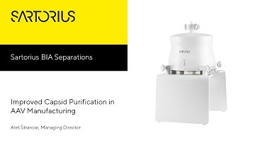 Improved Capsid Purification in AAV Manufacturing