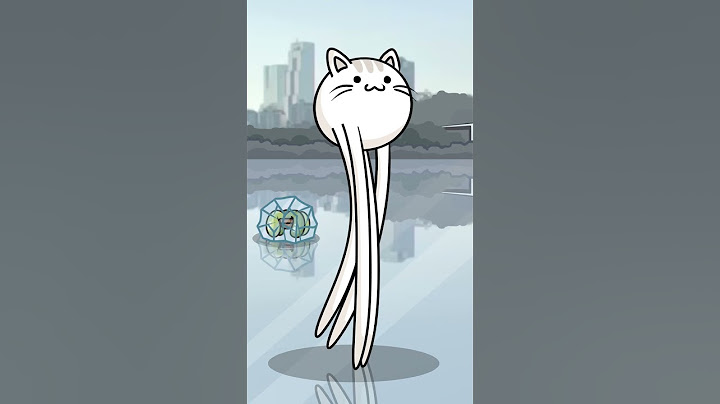 꽁꽁 고양이