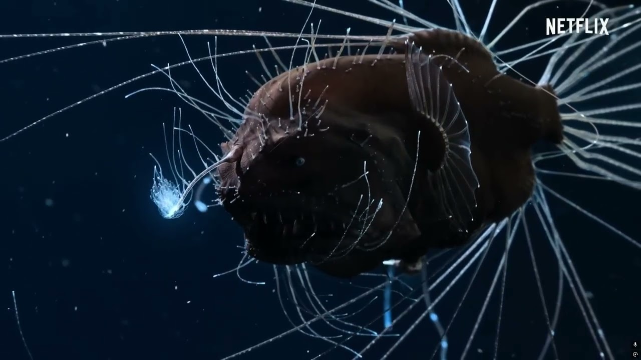 The Hidden World Below ( Deep Sea Water)