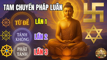 Tam Chuyển Pháp Luân: Đức Phật Khai Mở 3 Lần Trí Tuệ Từ Khổ Đau Đến Chân Lý Tối Thượng?