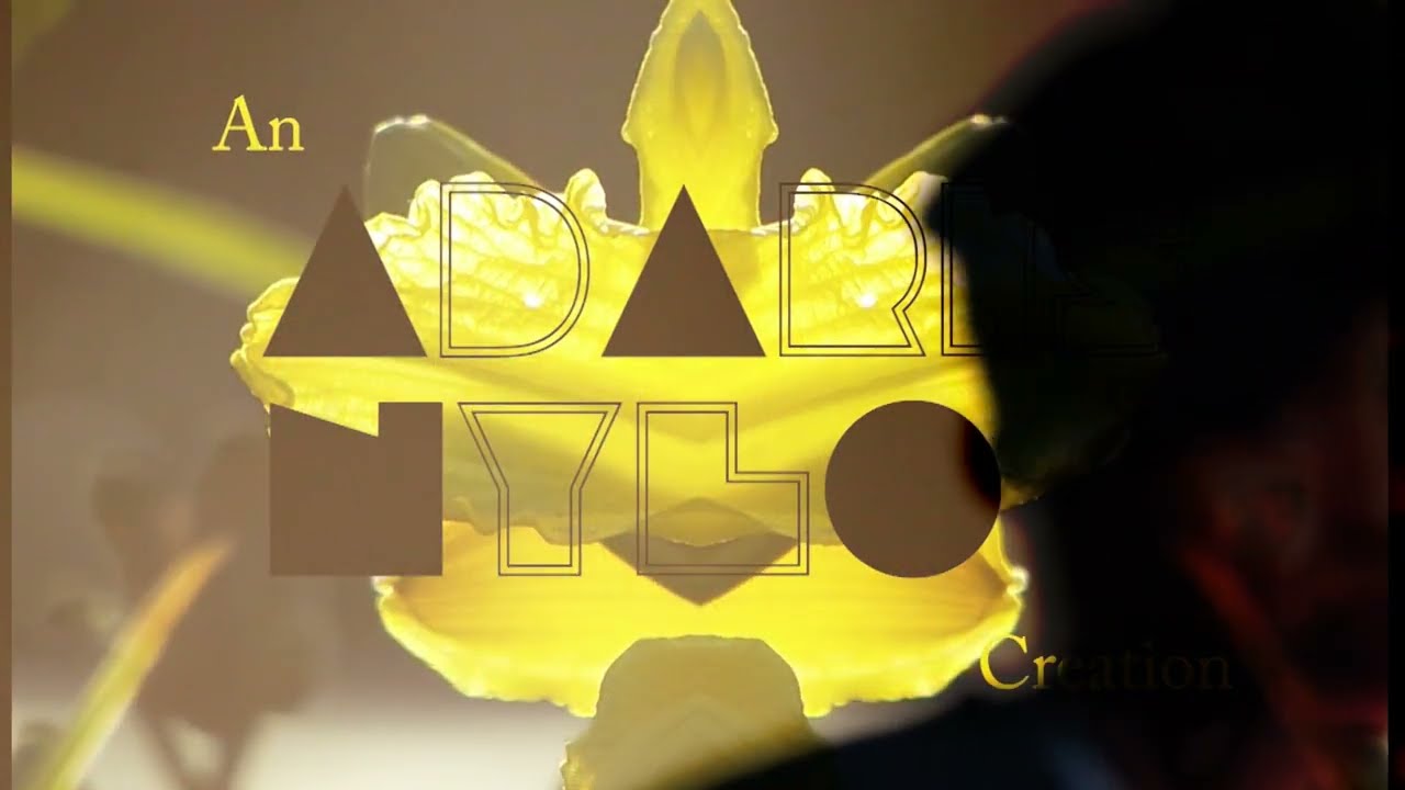 Adaris Nylo Emerging Artist (painter) (filmartist)