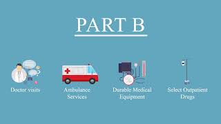 What is a Medicare Advantage Plan?