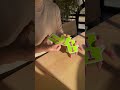 The Most RELAXING Card Skills?!😱🤤 #Shorts