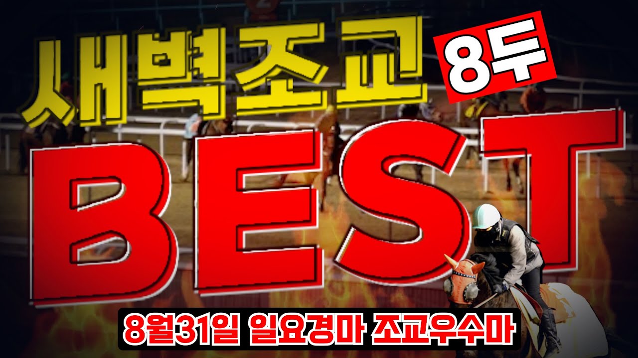[굽소리경마] 8월의 마지막 경마일!! 준비잘된 마필로 무조건 이겨야 하는날!!#새벽조교#과천경마장#조교우수마#굽소리경마