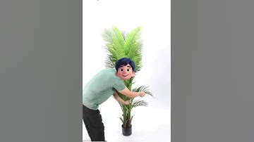 6ft artificial palm tree install video