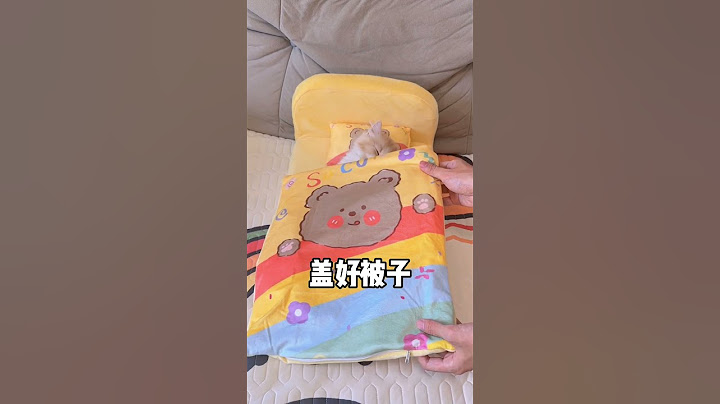 【獨生子的日常】像不像每天早上的你#小奶喵 #铲屎官的乐趣
