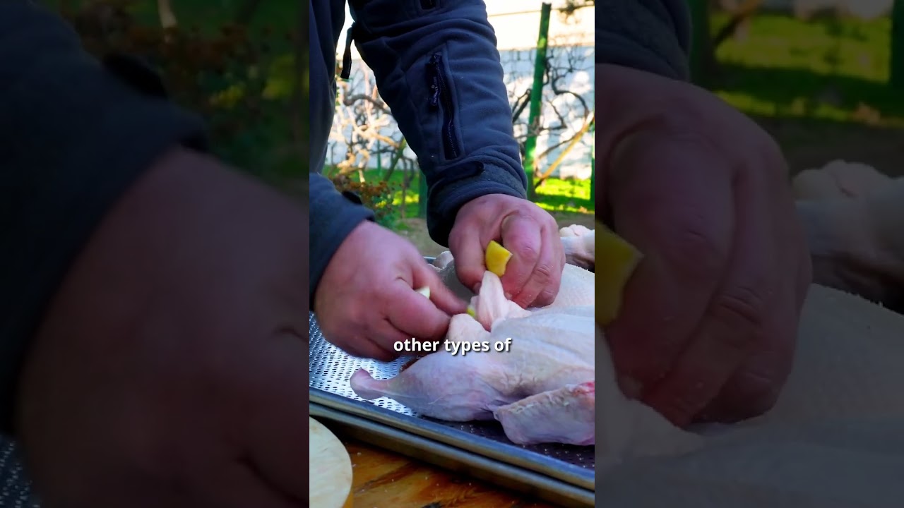 Stuffed Chicken: A Historical Culinary Surprise