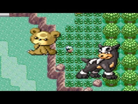 Come trovare Houndour e Teddiursa in Pokemon Emerald