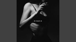 Кошка - Sidxkick