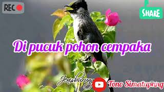 Download Lagu KARAOKE Kutilang Lagu Anak MP3