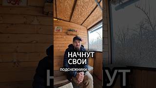 Весна - время действовать. Сезон в самом разгаре #перетяжкаруля  #накладканаруль #detailing #руль