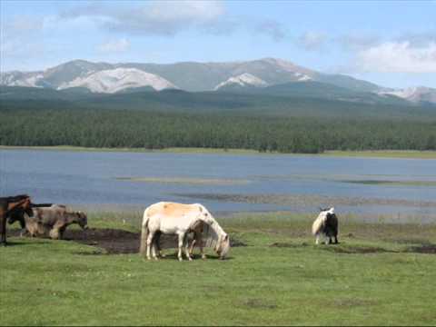 Video: Hvordan Velge Adyghe-ost