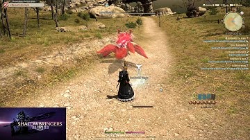 Shadowbringers Launch - Day 1 After Lunch