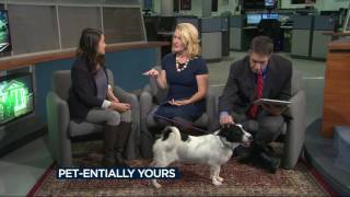 Meet the Pet of the Week: Eugene