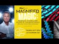 Magnified Magic: Revealing the Brilliant Colors of the Macro World