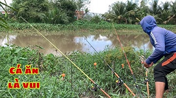 Câu Cá Tra Sông - Có Dính Cá Không Móm Là Vui | Fishing - Miền Tây